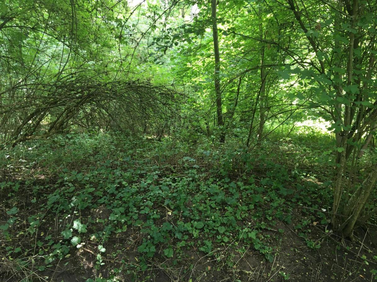 Un Coin De Foret Courmas Exterior photo