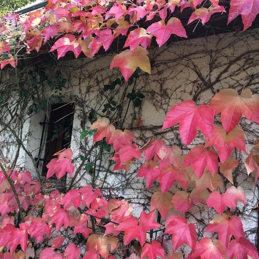 Un Coin De Foret Courmas Exterior photo